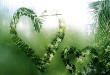 开云棋牌APP-冰与火之歌！凯尔特人用三倍跑动撕碎勇士神话